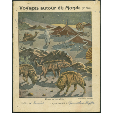 Hyènes sur une piste