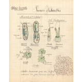 Sciences naturelles