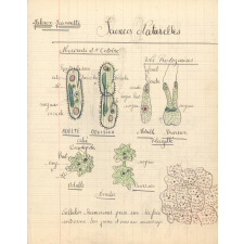 Sciences naturelles