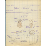 Cahier de Sciences