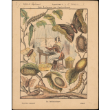 La sériciculture