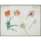 étude de fleurs.