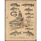 La pisciculture