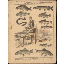 La pisciculture