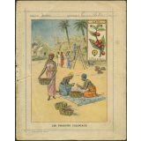 2. Les produits coloniaux - le café