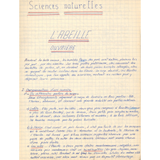 Travaux pratiques (sciences naturelles)