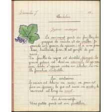 Vocabulaire