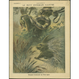 Serpent fascinant un porc-épic : Le petit voyageur illustré