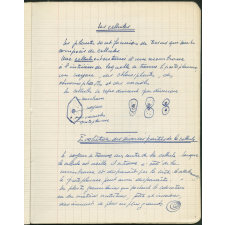 Cahier journalier