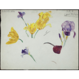 étude de fleurs