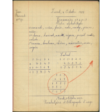 Cahier journalier