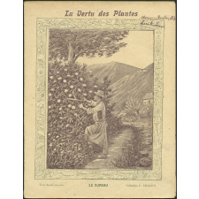 Le sureau - La vertu des plantes
