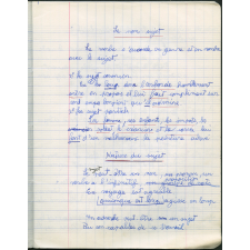 Cahier de Grammaire