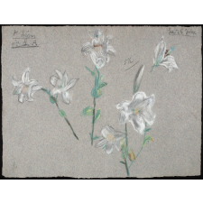 étude de fleurs
