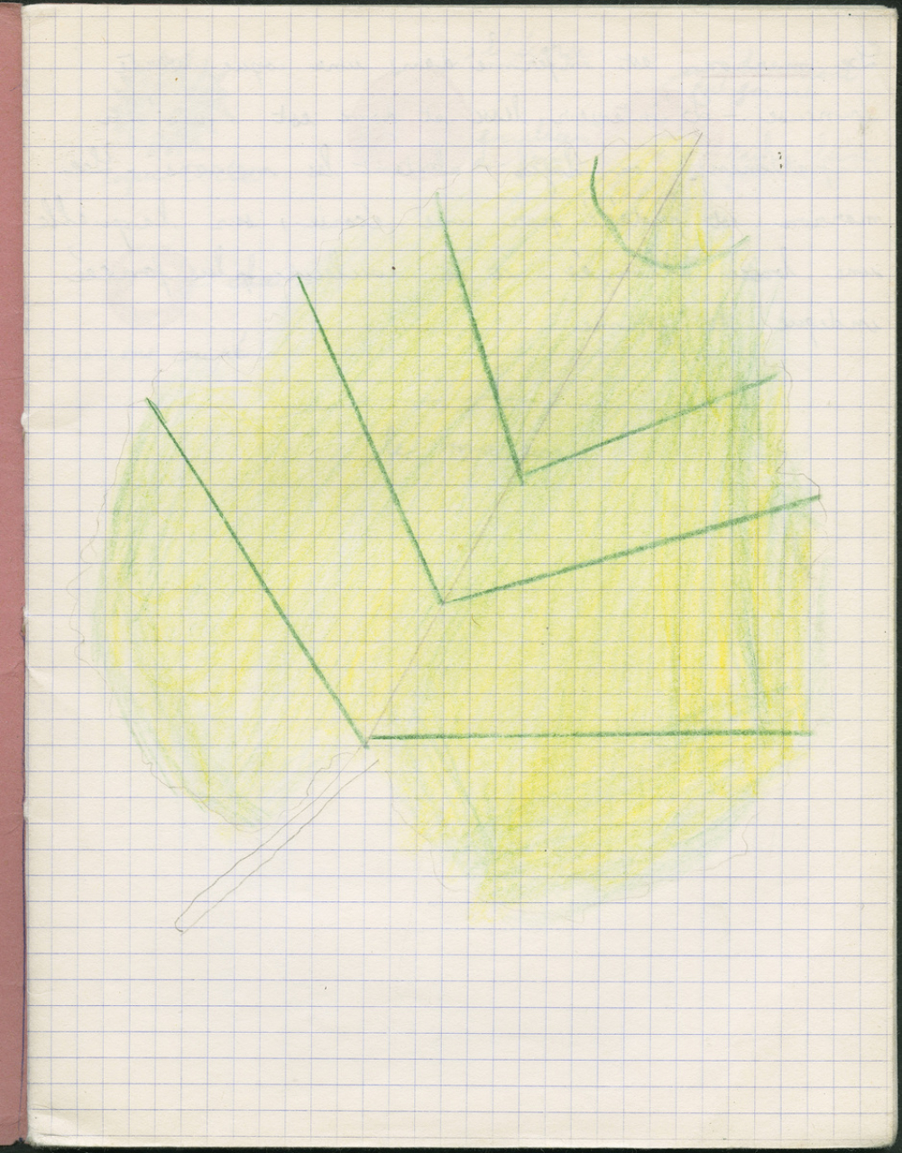 Cahier de sciences