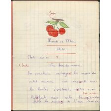 Cahier journalier