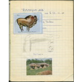 Cahier d'histoire