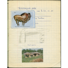 Cahier d'histoire