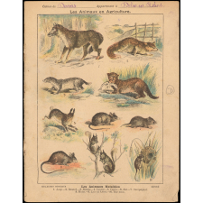 Les animaux nuisibles