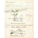 Cahier de sciences
