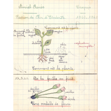 Cahier de sciences