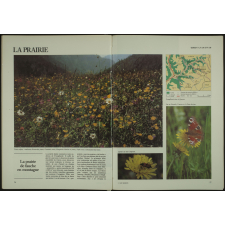 Sciences naturelles. Eléments d'écologie 2e.