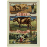 Ecoles communales de Lyon - Récompense scolaire - Boeuf - Vache.