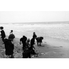 Ecole maternelle du Centre - Sceaux - Une journée à la mer (Deauville).