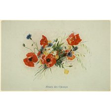Ecoles communales de Lyon - Récompense scolaire - Fleurs des champs.