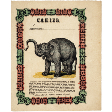 L'Éléphant.