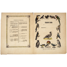 Oiseaux - Éléments de géométrie.