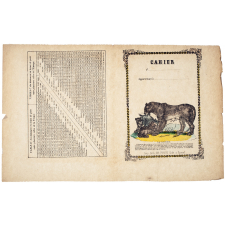 La Lionne - Tableau des distances.