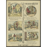 Le Renard et les raisins. Le Geai paré des plumes du paon (Fable de La Fontaine).
