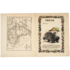 Le Porc-épic - Carte de l'Afrique.