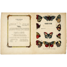 Papillons - Sytème métrique.