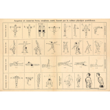 Acquérez et conservez force, souplesse, santé, beauté par la culture physique quotidienne.