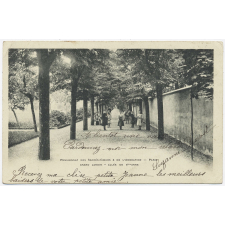 Pensionnat des Sacrés-Coeurs & de l'Adoration - Paris - Grand jardin - Allée de Ste-Anne.