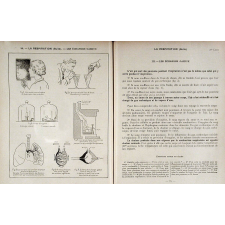 Les sciences au cours moyen, 2ème année. Leçons de choses. Classe de 7ème des lycées et collèges. Livre de l'élève.