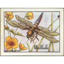 Bons points en images. Séries sur les insectes