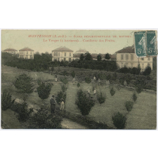 Montesson (S.-&-O.) - Ecole Départementale Th. Roussel - Le Verger (5 hectares) - Cueillette des Fruits.