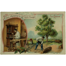 Image à collectionner. Les Arbres et leurs usages. Le Chêne.