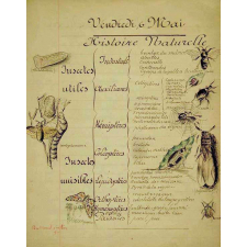 Devoir de sciences naturelles. Histoire naturelle. Devoir de géométrie.