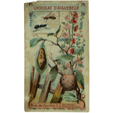 Carte réclame. Chocolat d'Aiguebelle. Nids de fourmis.