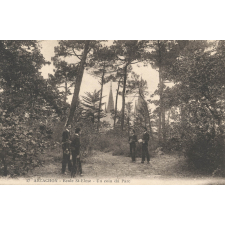 17 - Arcachon - Ecole St-Elme - Un coin du Parc.