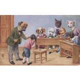 Ecole des chiens. 