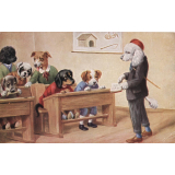 Ecole des chiens. 