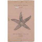 Journal scolaire Freinet. A la pointe de Trévignon. N°7, avril, 1949.