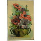 Image à collectionner. Anémones variées.