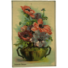 Image à collectionner. Anémones variées.