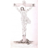Christ sur la croix . Dédié et présenté à S. Ase. Eminentissime Monseigneur le Cardinal T..... Archevêque de Paris par son très humble et très obéissant serviteur Hte. Chevalier professeur d'Ecriture.